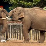 Sarah Mullally named as new Archbishop of Canterbury