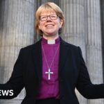 Vaccine breakthrough for deadly elephant virus