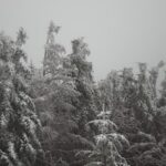 ‘I won’t stop fighting for my dad’