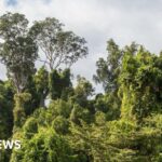 Active Luton given £13m to continue improving wellbeing