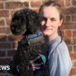 2026 World Cup: Tournament sends ‘dangerous message’ on climate