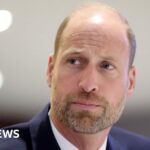 Green turtle bounces back from brink in conservation ‘win’