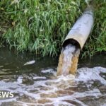 Baby P’s jailed mother Tracey Connolly bids for re-release