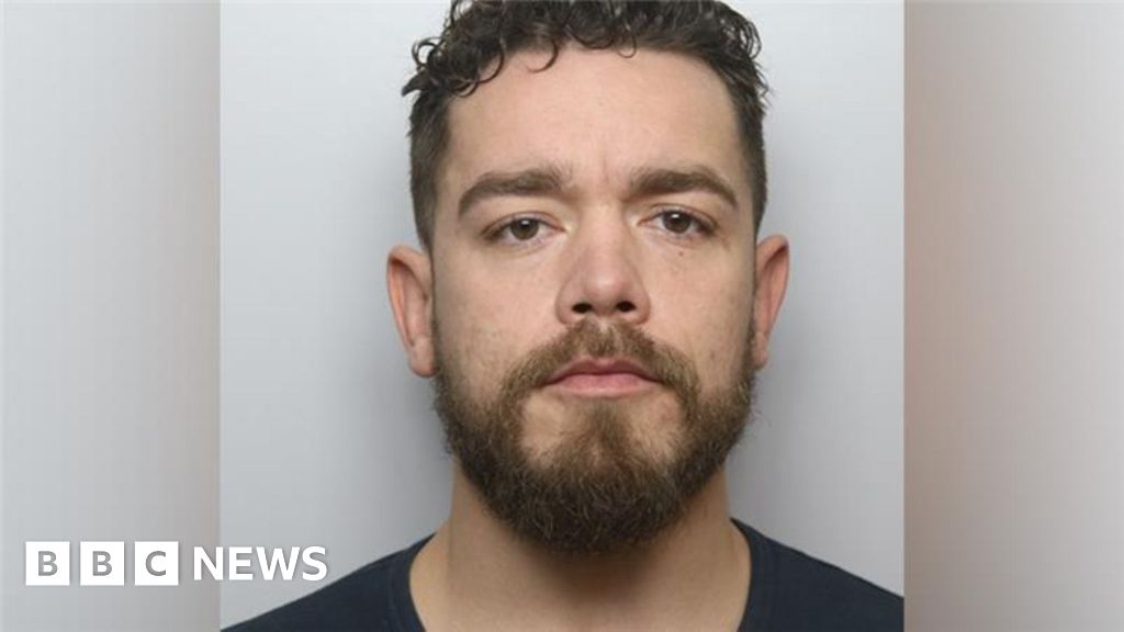 XL bully owner pleads guilty over Staffordshire dog attack death