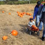 Tories pledge to scrap landmark climate legislation