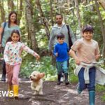 Fossil found on UK coast is unique ‘sword dragon’ species