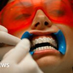 Sir David Attenborough backs bid to buy Rothbury Estate