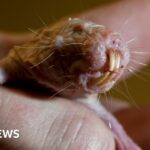 Four health benefits of the outdoors