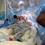 ‘What did the palace know?’ and ‘world wide wobble’