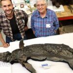 Four health benefits of the outdoors