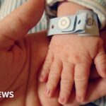 First deaths from Hurricane Melissa confirmed in Jamaica and Haiti