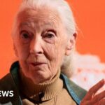 Indonesia rescuers race to find survivors after school collapse traps dozens