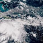 Dog walker killed and two injured