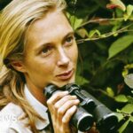 New area to watch for tropical development highlighted in Atlantic, but prospects uncertain