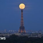 BBC Inside Science – The science behind autism