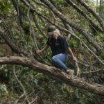 Fining firms for sewage spills will get ‘quicker and easier’, says government