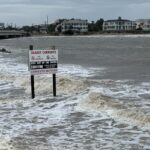 Green turtle bounces back from brink in conservation ‘win’