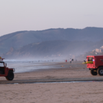 ‘What did the palace know?’ and ‘world wide wobble’