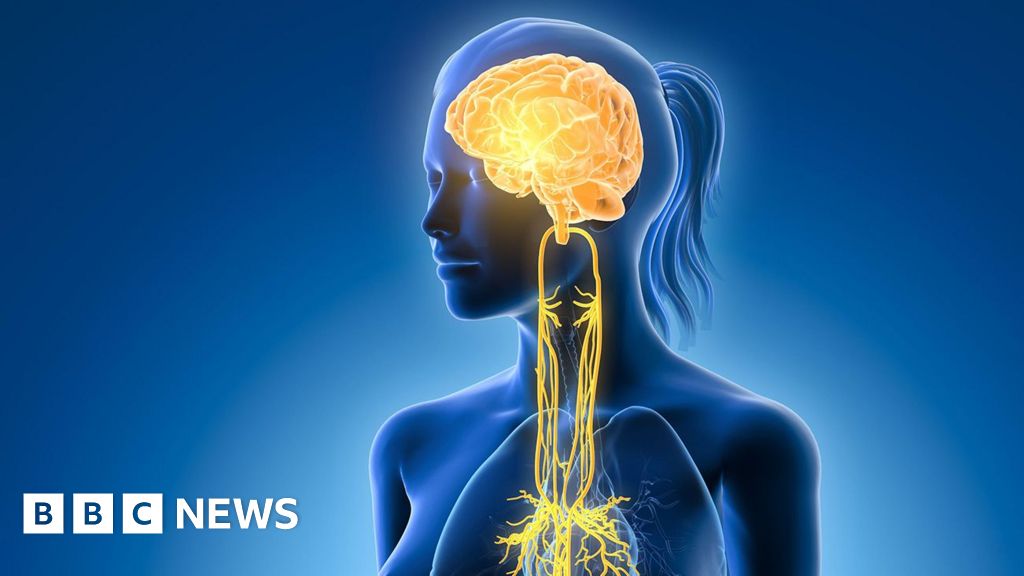 Ever feel the need to switch off? Your vagus nerve might hold the key