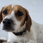 Blast of arctic air invades Upper Midwest and Northeast next week, bringing early winter preview for millions