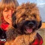 Eubank vs Benn 2: Chris Eubank Sr denies being paid to reunite with son