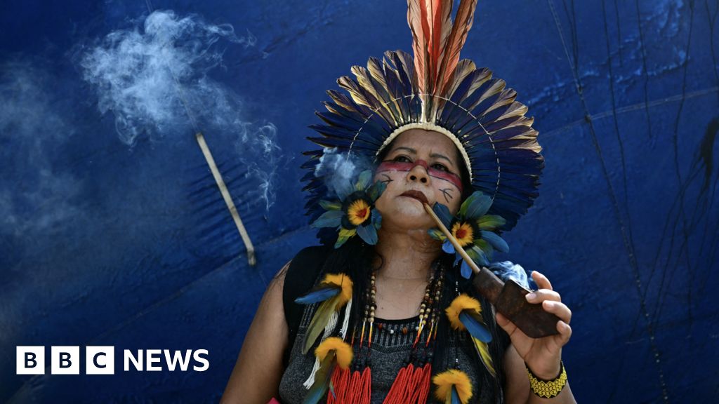Brazil creates new Indigenous territories after COP30 protests