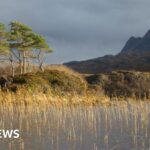 Scheme ‘shifting the narrative’ with young footballers