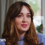 Cats became our companions way later than you think