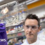 Hundreds of hospice beds unused amid financial crisis