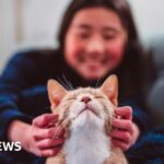 What taxes apply to electric vehicles and when will new petrol and diesel cars be banned?