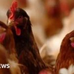 Typhoon Kalmaegi hits Vietnam after killing at least 114 in Philippines