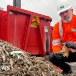 US Intelligence Alleges Alibaba Aided the Chinese Military in Targeting the US