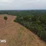 Scottish abortion law ‘not fit for purpose’, says expert group