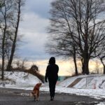Dozens of inmates found hanged in Ecuador prison