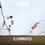 Do UN climate talks have a point any more?