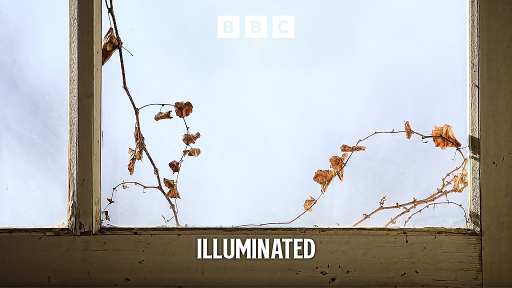 Illuminated – The Little Box Which Contains the World