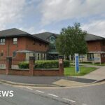 Great white sharks face extinction in Mediterranean, say researchers