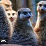 Fast-moving clippers threatens Midwest to Northeast with more wintry weather