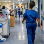 ‘Bewildered’ farmers need new deal to be profitable