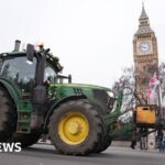 Cardiff City: Barry-Murphy says illness has swept through squad