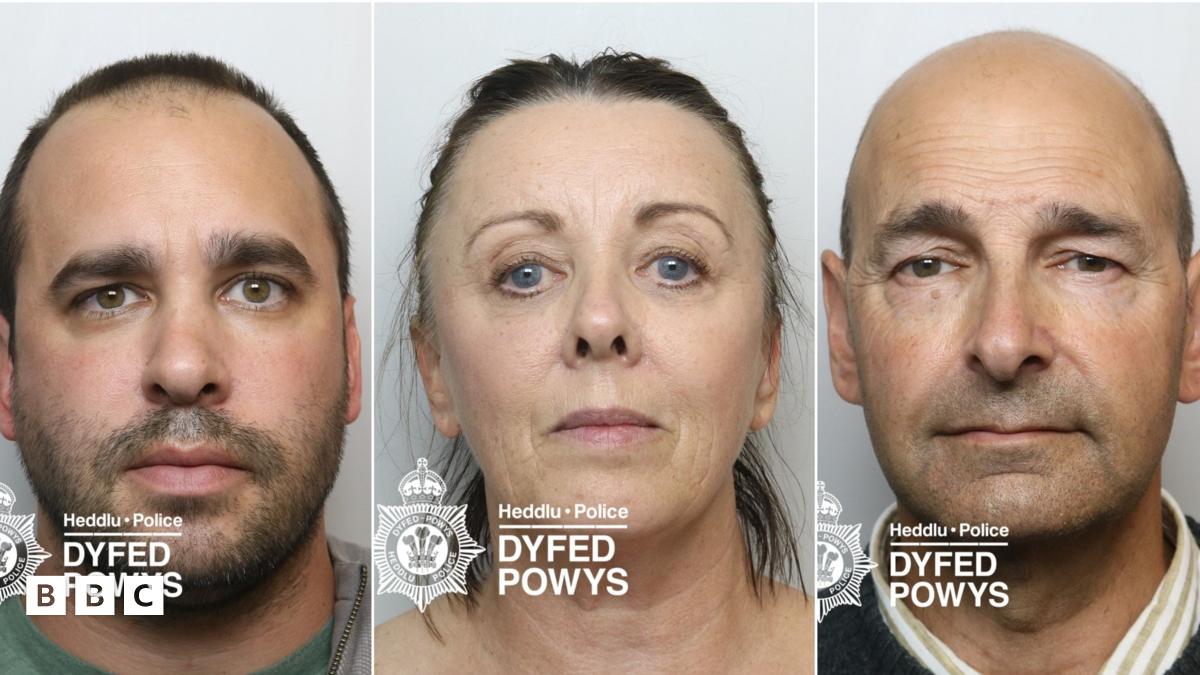 Gorchymyn i deulu fu’n ffermio canabis yn y de-orllewin dalu £1m