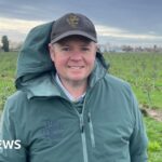 Plans to fix NHS dental care and save patients hundreds of pounds