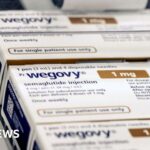 Teen rider in safety plea after horse bitten by out-of-control dog