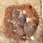 Why Sir David Attenborough wouldn’t live anywhere else but London