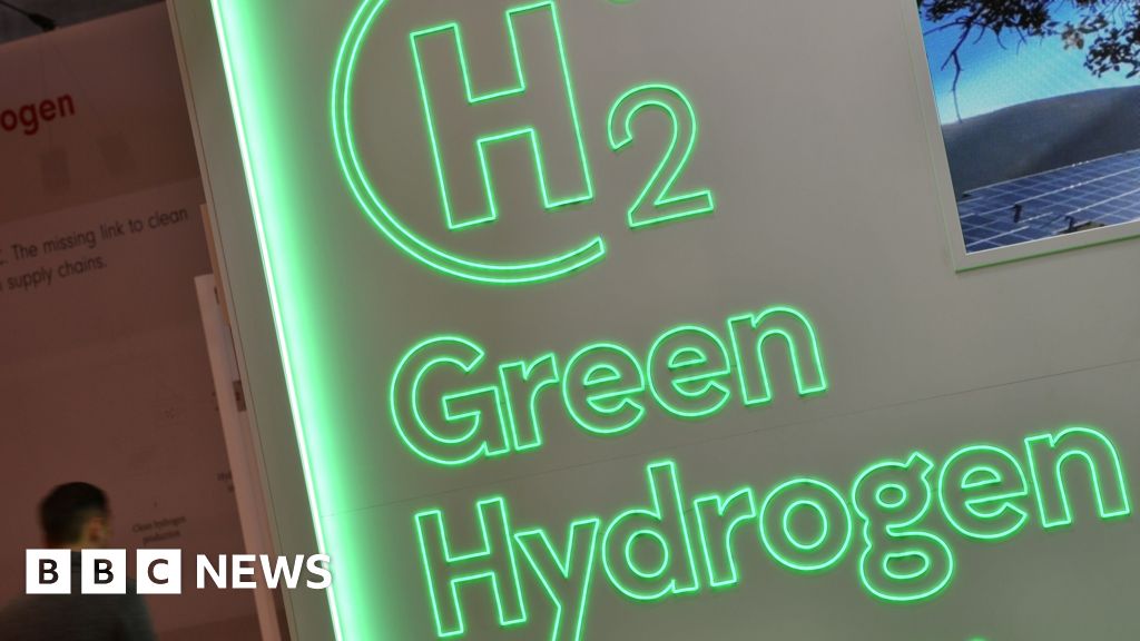 Germany’s green hydrogen industry is running out of time
