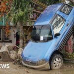 Police release CCTV footage of arson attack on house