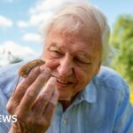 Coast Guard rescues two stranded boaters off Florida coast
