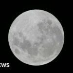 Germany’s green hydrogen industry is running out of time