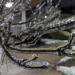 Was Putin’s response to my question about war in Europe an olive branch?