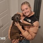 Hillsborough report says police ‘failed and deflected blame on to fans’